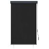 vidaXL Outdoor Roller Blind 100x250 cm Anthracite