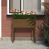 vidaXL Planter Honey Brown 78x40x81 cm Solid Wood Pine