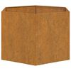 vidaXL Planter Rusty 60x60x45 cm Corten Steel