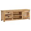 vidaXL TV Cabinet 120x30x40 cm Solid Mango Wood