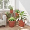 Product Thumbnail Image 4 of 10