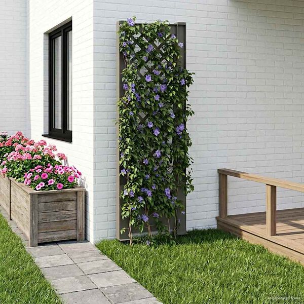 Showing Product Image 2 of 7