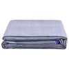 vidaXL Tent Carpet 650x300 cm Blue