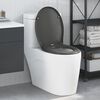 vidaXL Quick Release Toilet suitable for Seat Anthracite