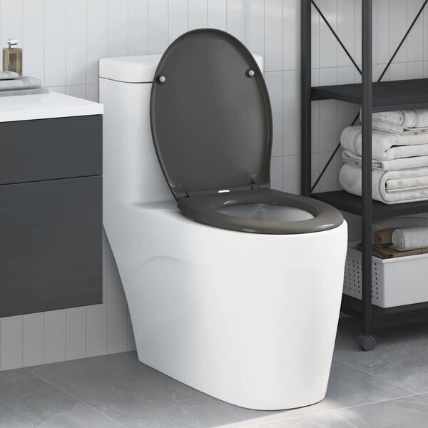 vidaXL Quick Release Toilet suitable for Seat Anthracite
