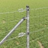 Product Thumbnail Image 5 of 17