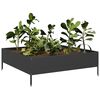 vidaXL Garden Raised Bed Black 100x100x33.5 cm Steel