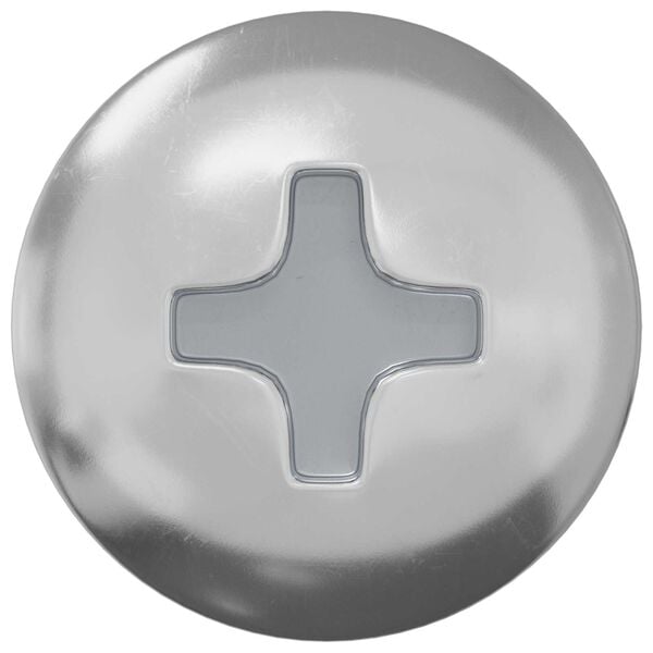 vidaXL Self Tapping Nail 12 pcs Zinc-coated 4 x 20 mm Steel