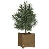 vidaXL Garden Planter Honey Brown 31x31x31 cm Solid Pinewood