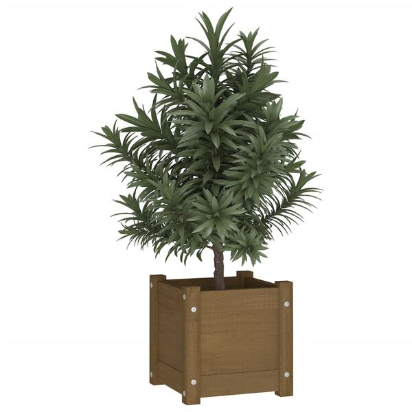 vidaXL Garden Planter Honey Brown 31x31x31 cm Solid Pinewood