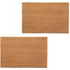 vidaXL Doormats 2 pcs Coir 24 mm 40x60 cm Natural