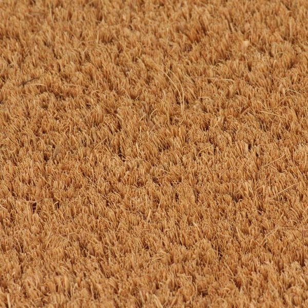 vidaXL Doormats 2 pcs Coir 24 mm 40x60 cm Natural