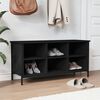 vidaXL Shoe Cabinet Black 100x35x50 cm Engineered Wood