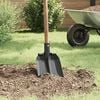 Product Thumbnail Image 2 of 12