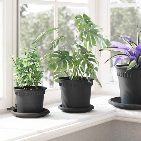 Showing Product Image 4 of 12