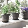 vidaXL Plant Pots 6 pcs Black &Oslash; 22 x 18 cm Plastic