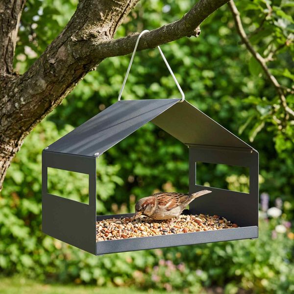 Showing Product Image 2 of 6