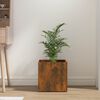 Product Thumbnail Image 3 of 7