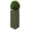 Product Thumbnail Image 4 of 12