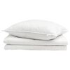 vidaXL Summer Duvet with Pillow 2 pcs White Down Feather
