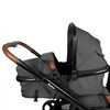 Baninni Twin Stroller Luiz Grey