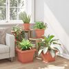 Product Thumbnail Image 4 of 10