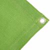 vidaXL Tent Carpet Light Green 250x350 cm HDPE