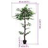 Product Thumbnail Image 5 of 5