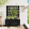 vidaXL Garden Planter with Rack Black 79x39.5x114 cm Solid Wood Pine