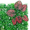 Product Thumbnail Image 6 of 8