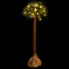 Product Thumbnail Image 3 of 7
