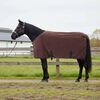 vidaXL Horse Blanket Full Dark Brown Polyester