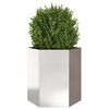 vidaXL Garden Planter 2 pcs Hexagon 46x40x45 cm Stainless Steel