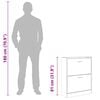 vidaXL Shoe Cabinet Smoked Oak 63x24x81 cm Engineered Wood
