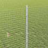 Product Thumbnail Image 4 of 14