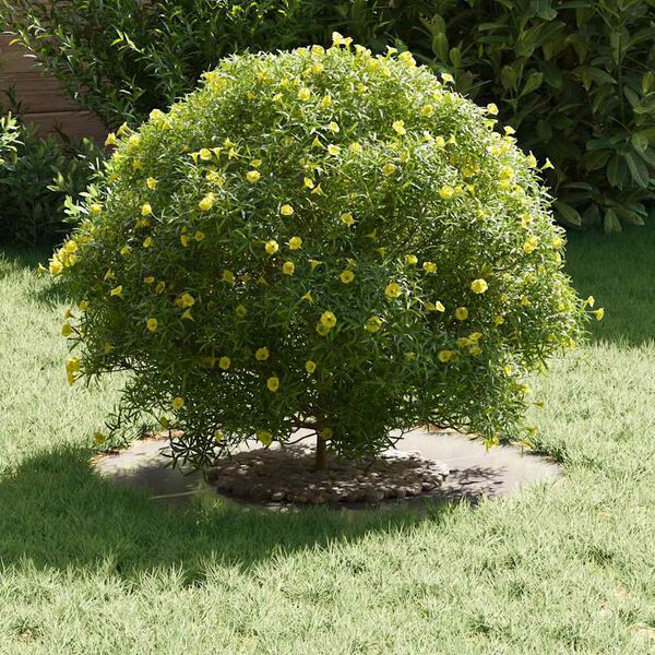 vidaXL suitable for Flat Tree Rings 5 pcs Silver Ø30 / 60 cm