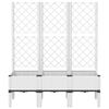 Product Thumbnail Image 3 of 8