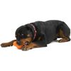 West Paw Dog Toy with Zogoflex Tux Tangerine Orange S