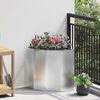 Product Thumbnail Image 2 of 12