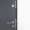 vidaXL Front Door Anthracite 100x200 cm Aluminium