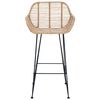 vidaXL Bar Chair 2 pcs Natural 55 x 52 x 92 cm Rattan and Iron