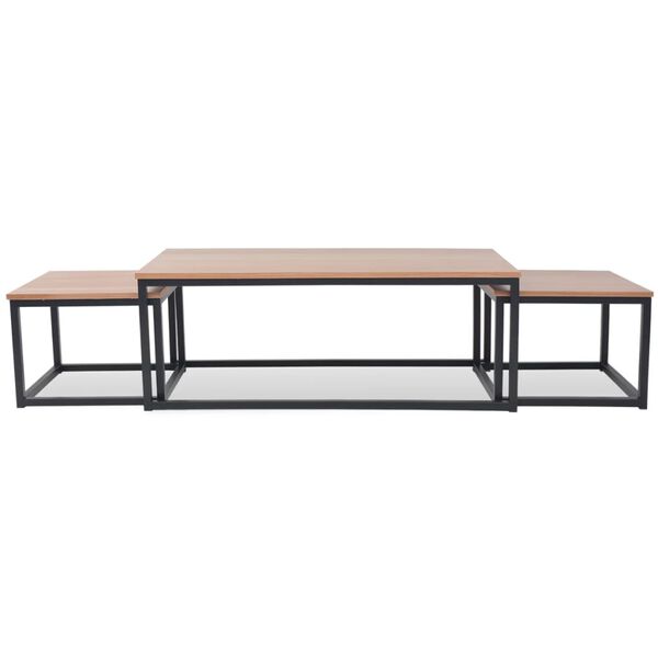 vidaXL Coffee Table Set 3 Pieces Ash