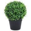 vidaXL Artificial Boxwood Plants 2 pcs with Pots Ball Shaped Green 27 cm