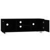vidaXL TV Cabinet Black 120x40.5x35 cm Engineered Wood