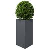 Product Thumbnail Image 3 of 10