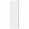 vidaXL Hanging Cabinet with Storage Riga Grey Sonoma 40 x 31 x 100 cm