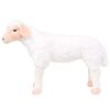 Product Thumbnail Image 2 of 5
