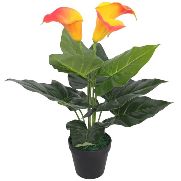 Showing Product Image 1 of 2