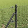 Product Thumbnail Image 4 of 15