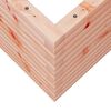 vidaXL Garden Planter 70x70x45.5 cm Solid Wood Douglas